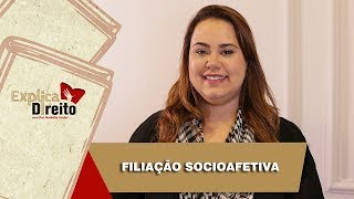 Explica Direito Filiação Socioafetiva  2019 [upl. by Aved93]